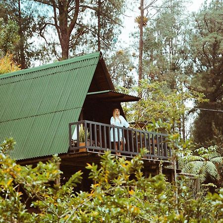 Cardinal Glamping Guatapé Exterior foto