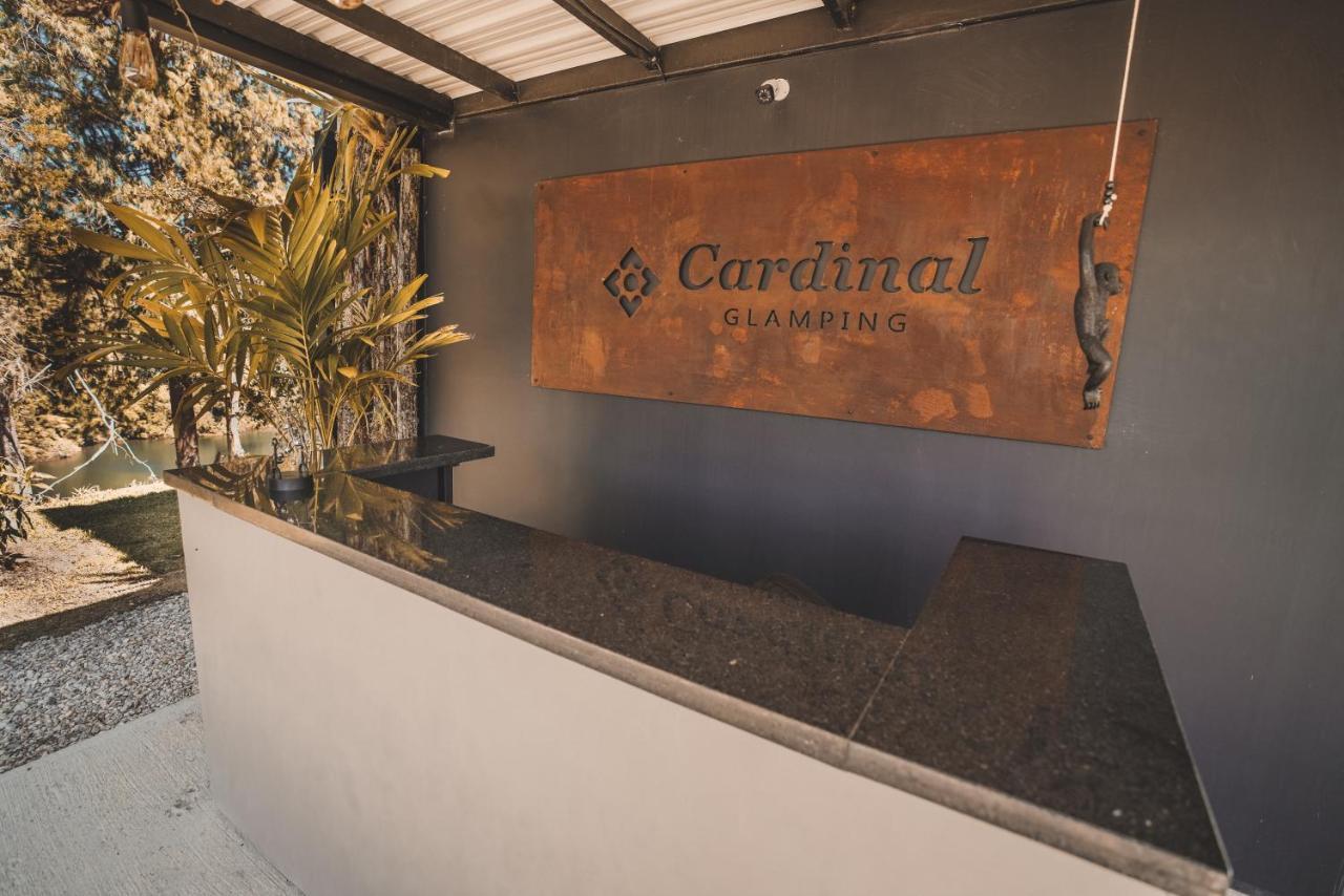 Cardinal Glamping Guatapé Exterior foto